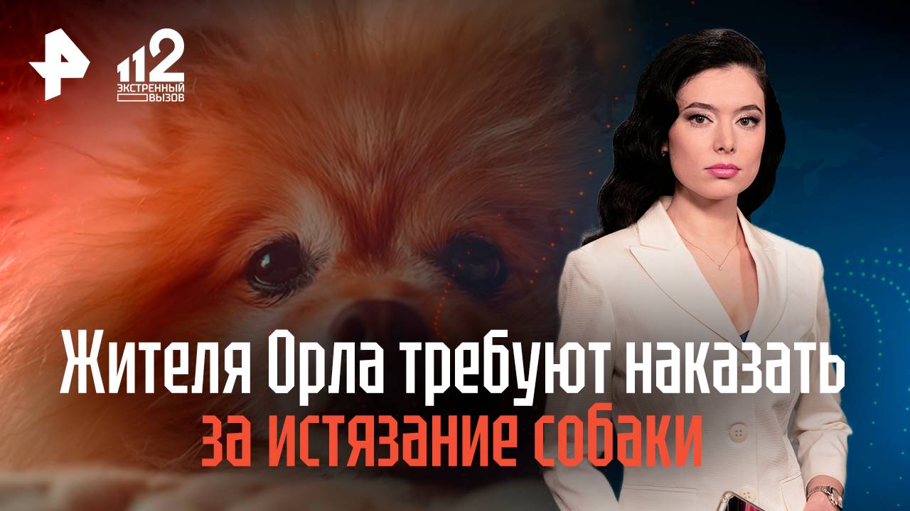 Жителя Орла требуют наказать за истязание собаки смотреть онлайн