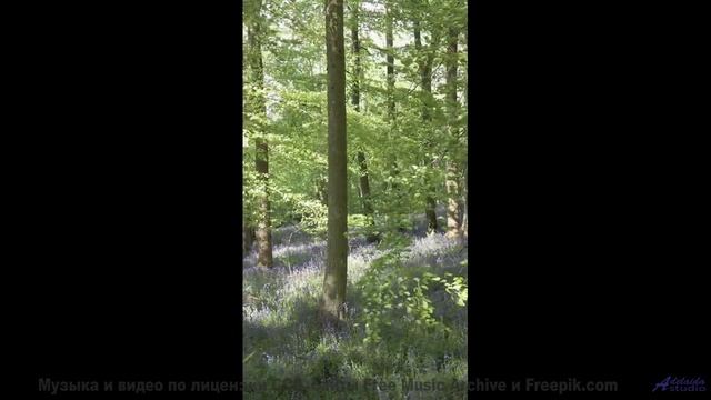 Эта композиция - как шёпот в темноте, от которого дрожь... - Cornershop -- Podington Bear -- Homage