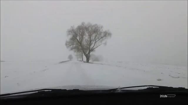 Markus Grünert смотреть онлайн