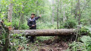 Расчищаю путь для суэцкого канала до речки!