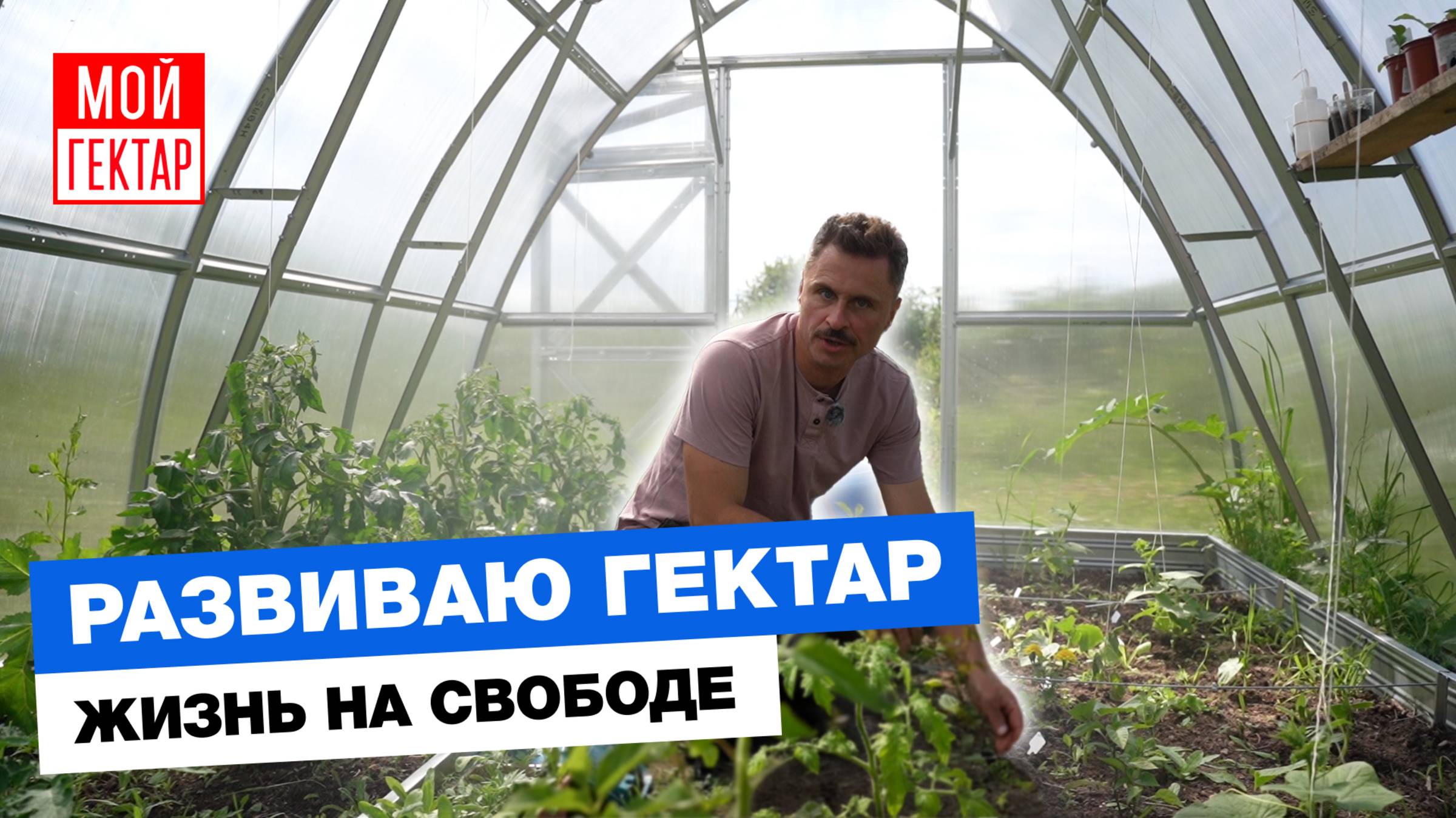 ОБЗОР МОЕГО ГЕКТАРА В 2025-М | НАВЕС, ТЕПЛИЦА, САД | ИНСТИТУТ ДЛЯ ОГОРОДНИКОВ | ОТ СОХИ ДО СОХИ смотреть онлайн