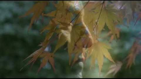 Канцлер Ги «Мадонна канцлера Ролена» (Проклятые короли) (Владимир Володько)