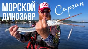 САРГАН Японского моря, морская рыбалка на стикбейты во Владивостоке