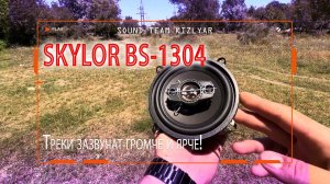 Позвольте своим любимым трекам звучать громче и ярче! SKYLOR BS-1304