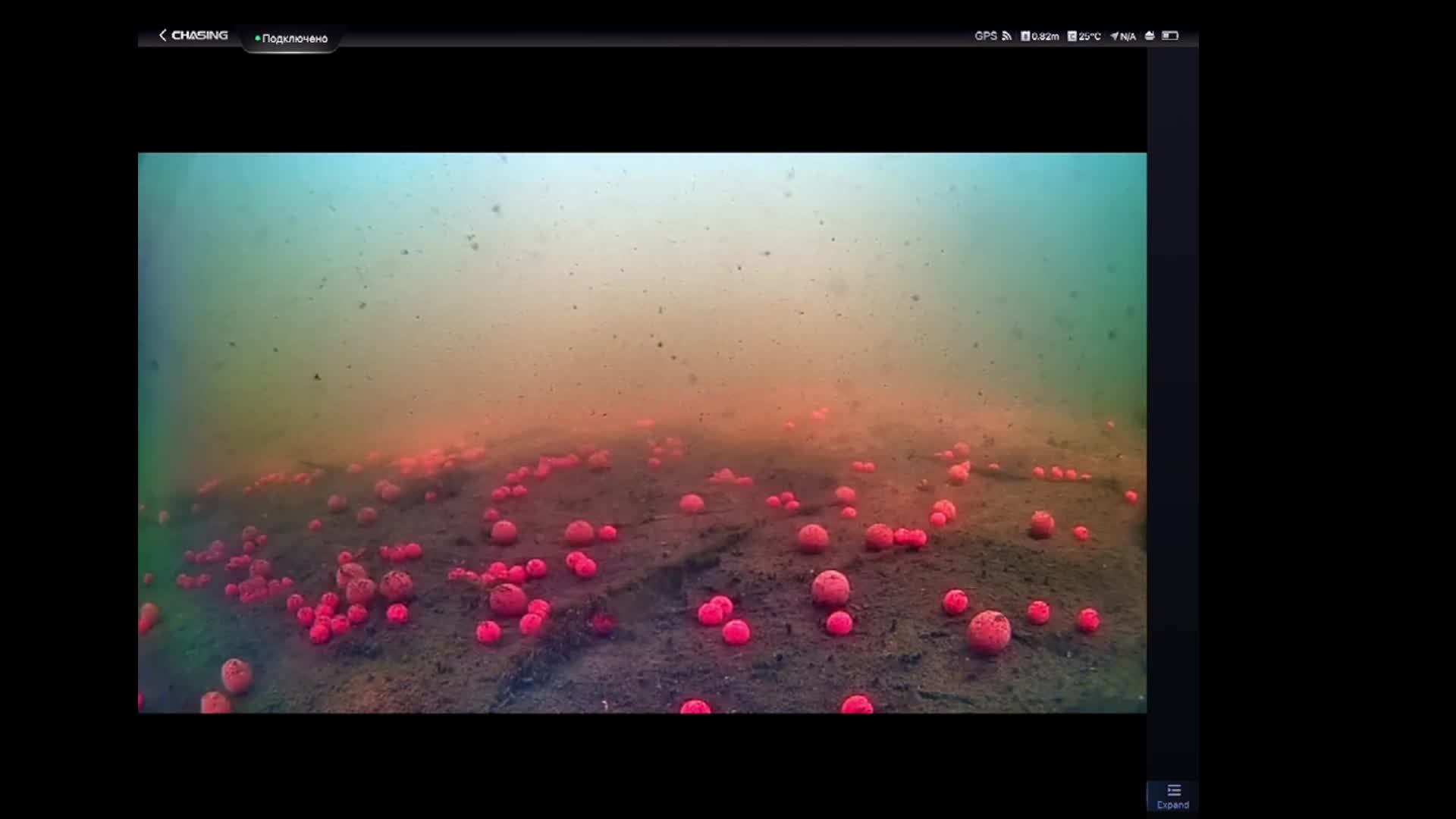 Carp fishing смотреть онлайн