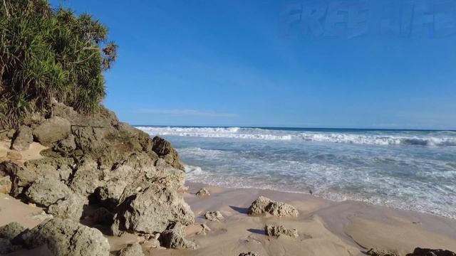 Ocean Beach 4K: Amazing Ocean View Of The Beach