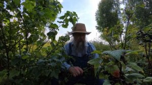 Как быть духовно здоровым и сильным?