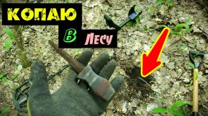 Много находок с Skycruiser s63. Лес.