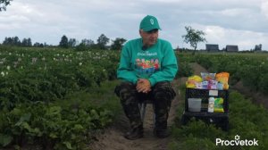 МОРКОВЬ И СВЕКЛА ВЫРАСТУТ КРУПНЫМИ И СЛАДКИМИ после такой подкормки в июле