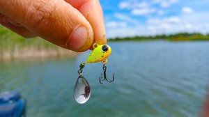 ДА КТО ТАМ ТАКОЙ. ПОЧЕМУ НЕ ТАК ДАВИТ?! РАЗДАЧА НА блесны. Рыбалка на спиннинг в 2025