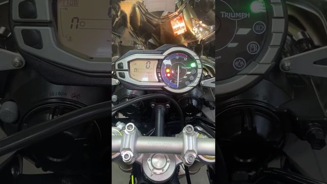 TRIUMPH TIGER 800 2014 г. Синий смотреть онлайн