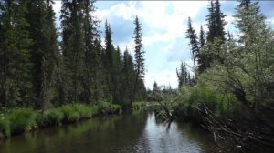 Жизнь ОТШЕЛЬНИКА в ДЕВСТВЕННОЙ ТАЙГЕ 2023 Даугли 4 Рыбалка Охота Поход Медведь Один в Лесу у реки