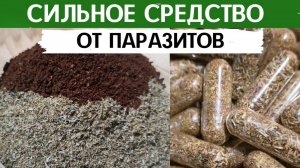Мощное очищение организма от всех ПАРАЗИТОВ! Глисты вылетят пулей!