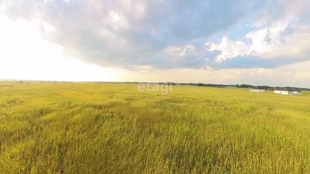 4474582 смотреть онлайн
