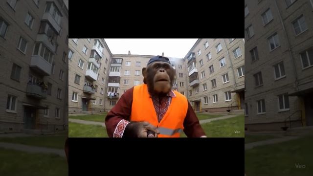 когда не можешь найти свое призвание