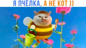 БЗЗЗЗ ))) Приколы | Мемозг 1632