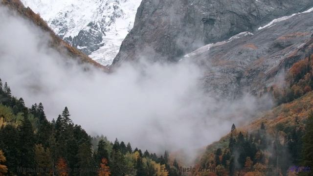 Природа оживает, когда звучит такая мощная музыка - Impulse -- Ketsa -- Metaphysics