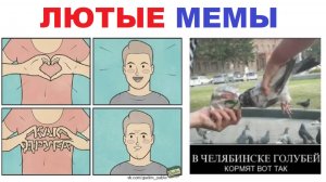 200 мемов. Люблю тебя!!! (как друга)