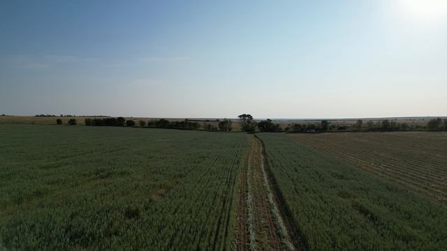 Мыс Тарханкут