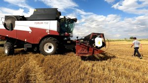 Уборка урожая не может набрать свои обороты! Всему виной постоянные дожди!