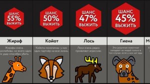 Люди Против Животных