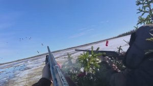 Охота на гусей с отцом. Ждем гусей. Охота на гуся