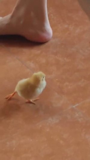 Утренняя зарядка