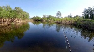 Рыбалка-мечта. Река Северная и её притоки. Часть первая.