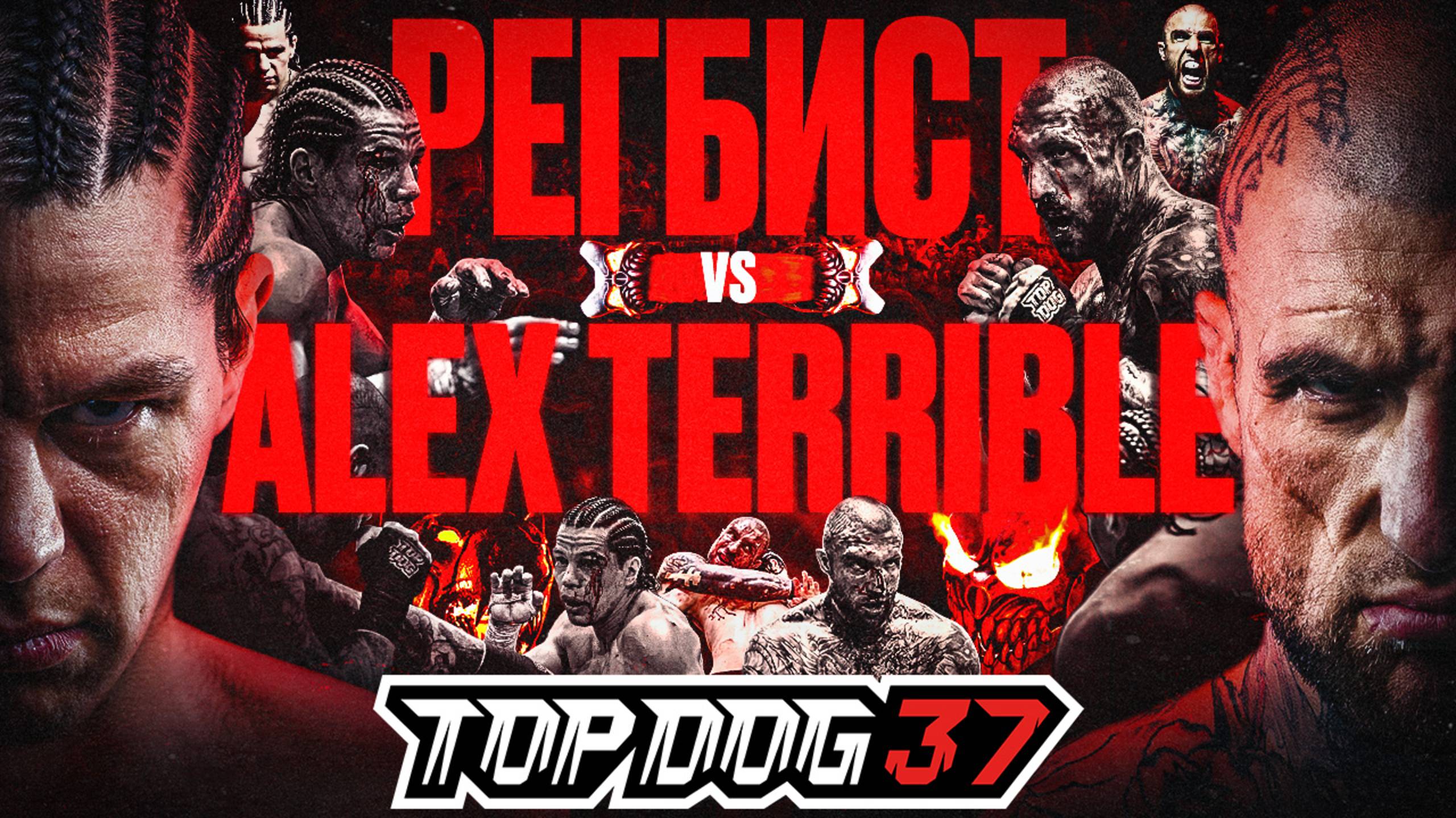 Регбист VS Alex Terrible | Главный бой вечера | TOP DOG 37, Москва смотреть онлайн