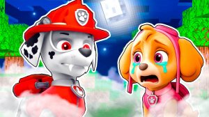 МАРШАЛ EXE НАПАЛ на СКАЙ ЩЕНЯЧИЙ ПАТРУЛЬ ЧТО СЛУЧИЛОСЬ в МАЙНКРАФТ