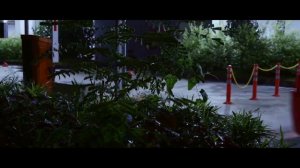 Passion Marta - Lines