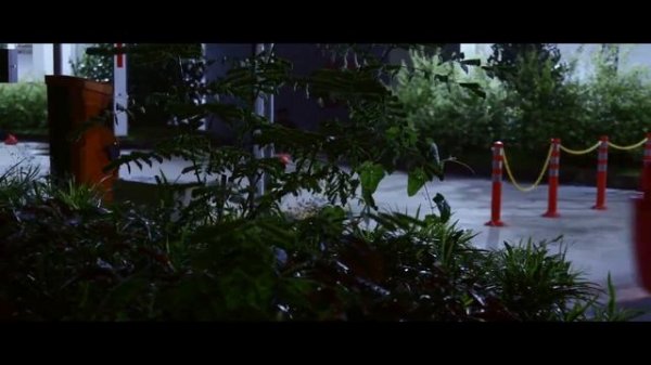 Passion Marta - Lines