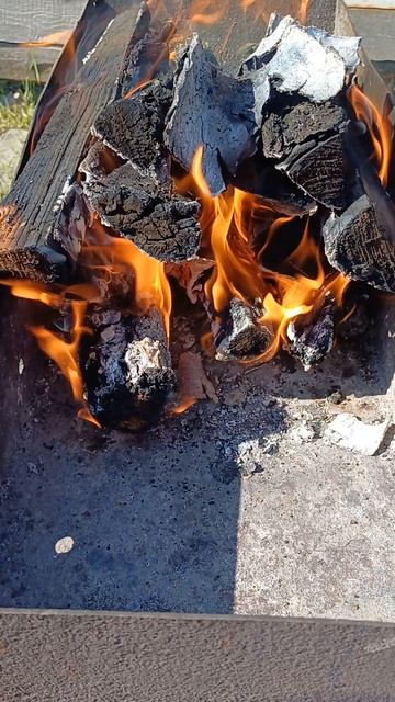 20250628_164424 смотреть онлайн