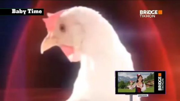 Baby Time на Bridge tv Tikhon Первый Выпуск
