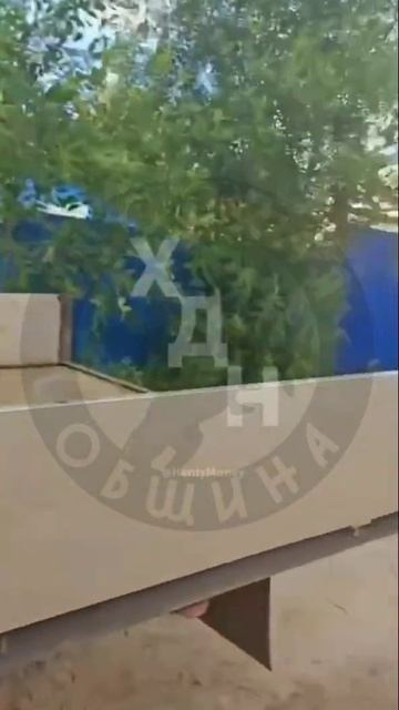 Измученного льва изъяли у горе-блогера. Его увезли в местный зоопарк смотреть онлайн