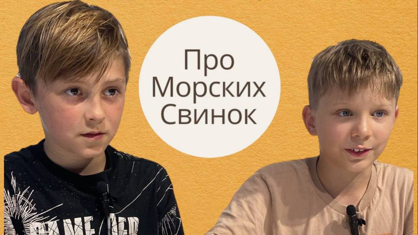 Морские свинки