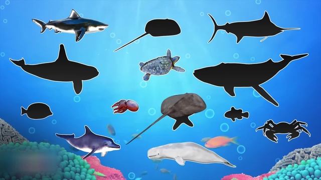 Подводный мир – Познавательное видео и игра-головоломка для малышей смотреть онлайн