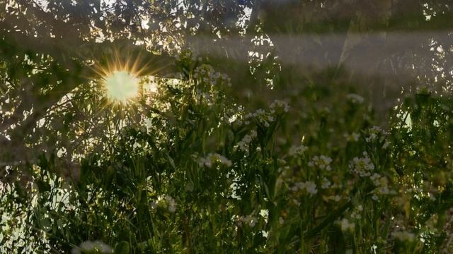 ЛЮБОВЬ ГОЛУБОГЛАЗАЯ -автор слов музыки исполняет Игорь Гриськов смотреть онлайн