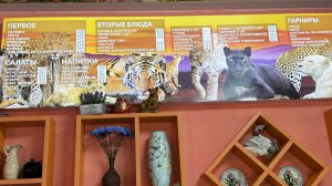 ПАРК ЛЬВОВ ТАЙГАН! Где поесть ? Кафе ТАЙГАН