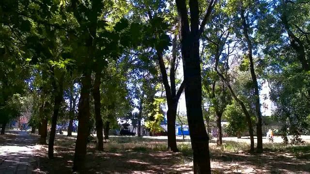 Через парк на рынок! смотреть онлайн