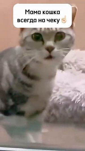 Мама всегда на чеку😌❤️