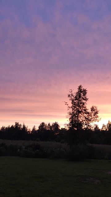 Июльский закат смотреть онлайн