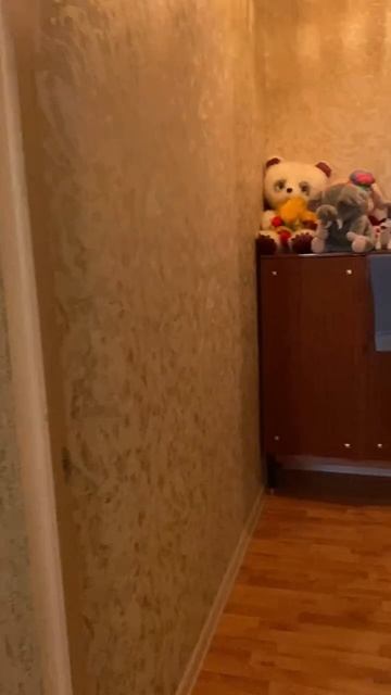 9022286 смотреть онлайн