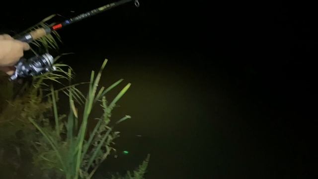 Рыбалка на сома на Кубани в краснодарском крае