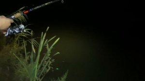 Рыбалка на сома на Кубани в краснодарском крае