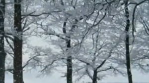 Наша Дарья-А снег идёт (Cover Version)