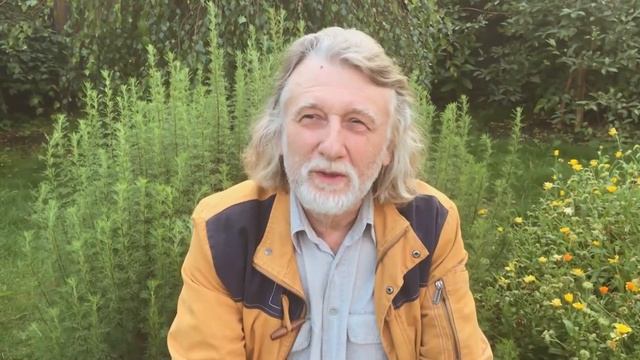 Третий глаз (Аджна) и Сахасрара. смотреть онлайн