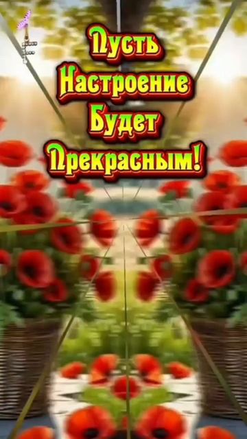 С добрым утром! смотреть онлайн