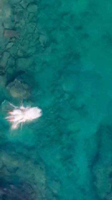 07.06 #КРАСОТА ⚡️Главный трек этого лета! #НовыеСамоцветы смотреть онлайн