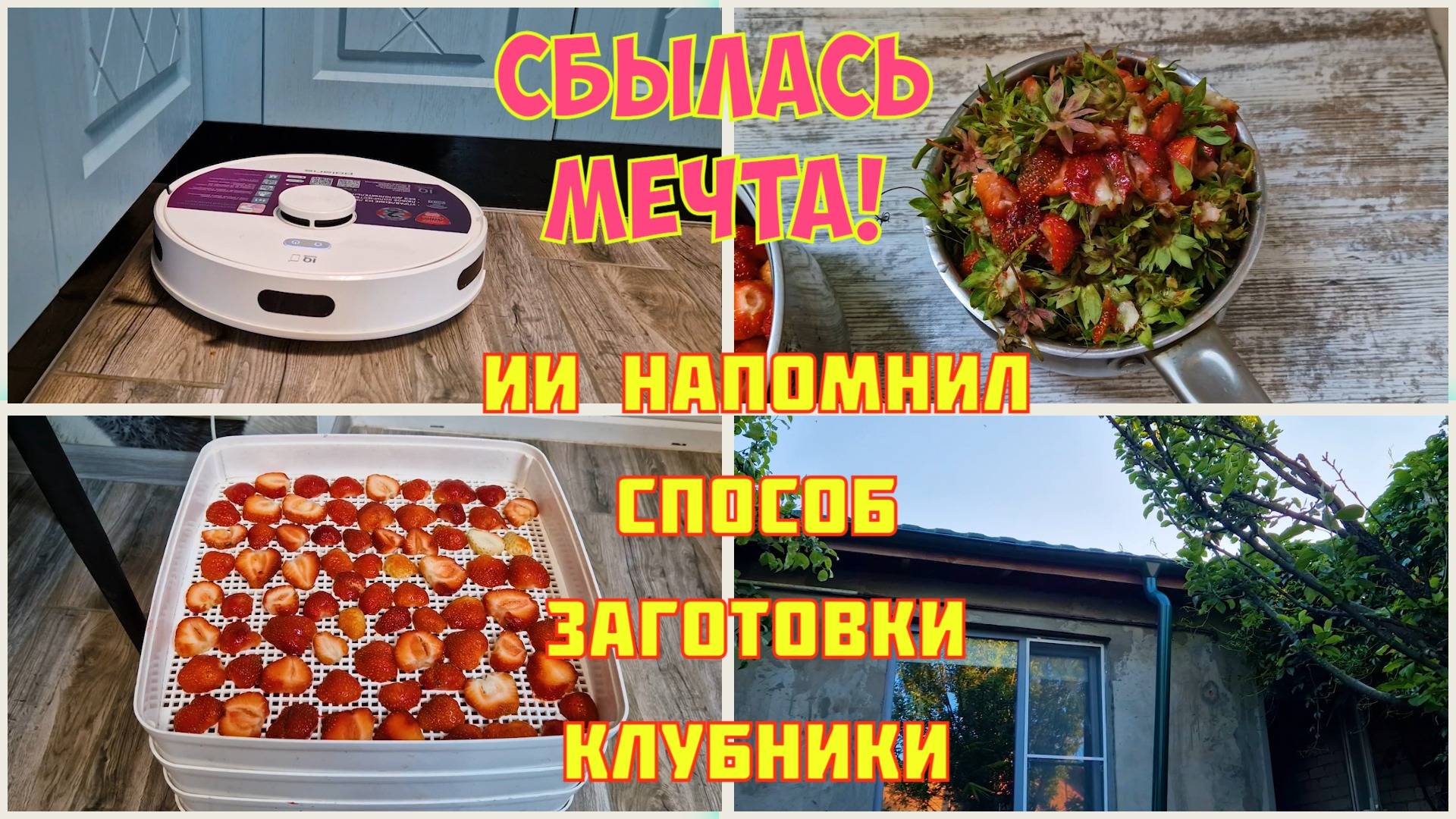 Робот ПЫЛЕСОС долго сомневалась,а ЗРЯ! Будем ПЕРЕДЕЛЫВАТЬ, но сначала ВОДООТВОД. Клубничные ЧИПСЫ🔥 смотреть онлайн